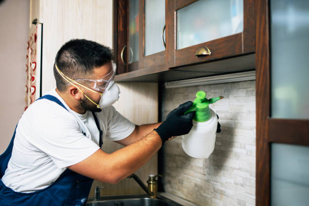 Best Exterminator Services  in Elk Rapids, MI