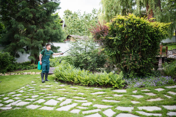 Best Best Pest Control Companies  in Elk Rapids, MI