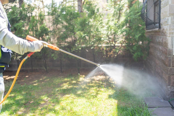 Best Affordable Pest Control Services  in Elk Rapids, MI
