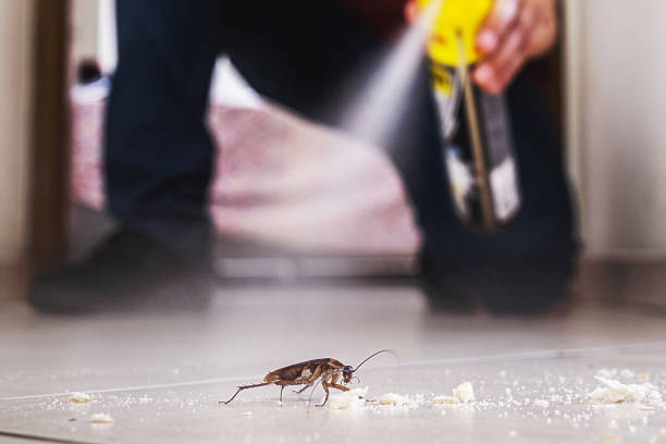 Best Local Pest Control Services  in Elk Rapids, MI