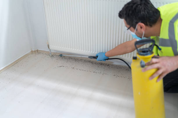 Best Bed Bug Extermination  in Elk Rapids, MI